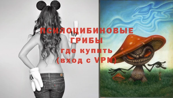 твердый Медногорск