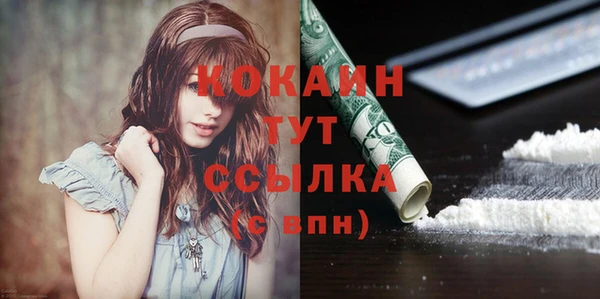 твердый Майский