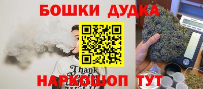гидра Дубна