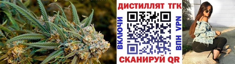 цена   Псков  ТГК концентрат 