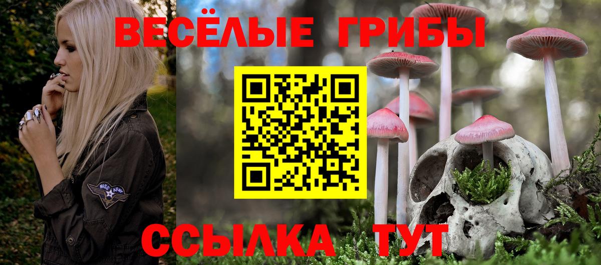 Галлюциногенные грибы Magic Shrooms  Вход с VPN  Псков 