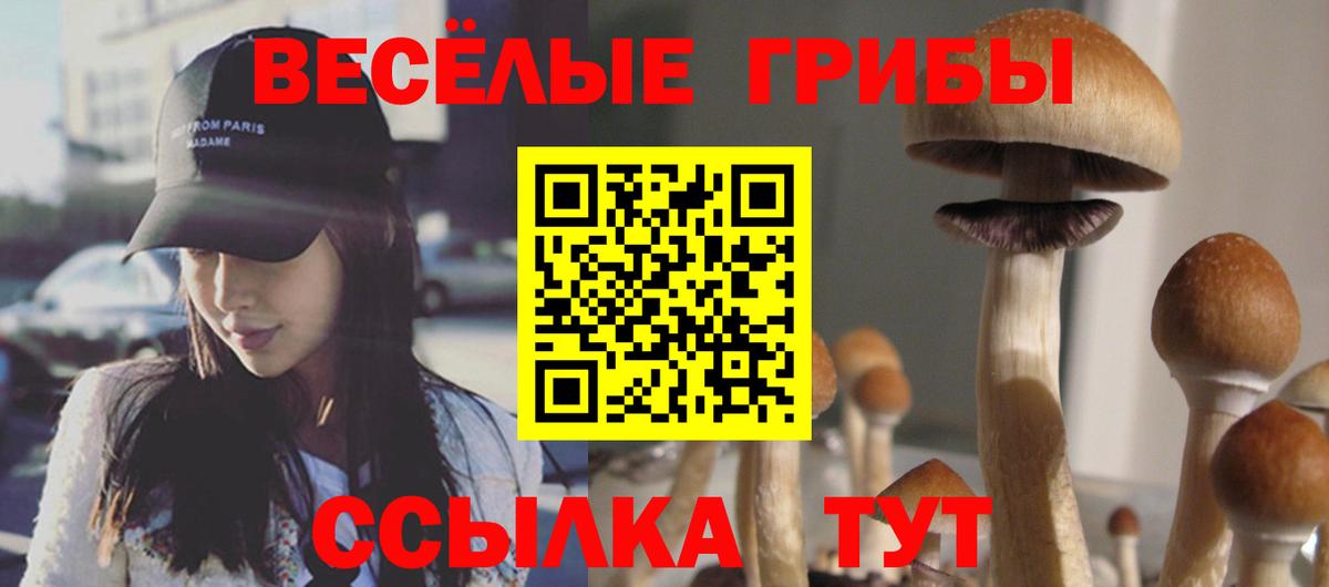 Псилоцибиновые грибы мухоморы Псков