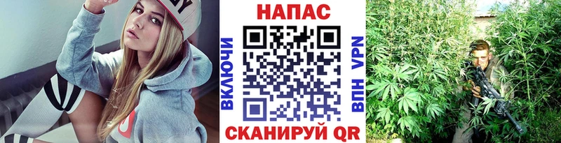 Шишки марихуана VHQ  blacksprut ссылки  Псков 